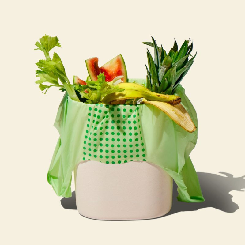 Food Scrap Bag with Food Scraps